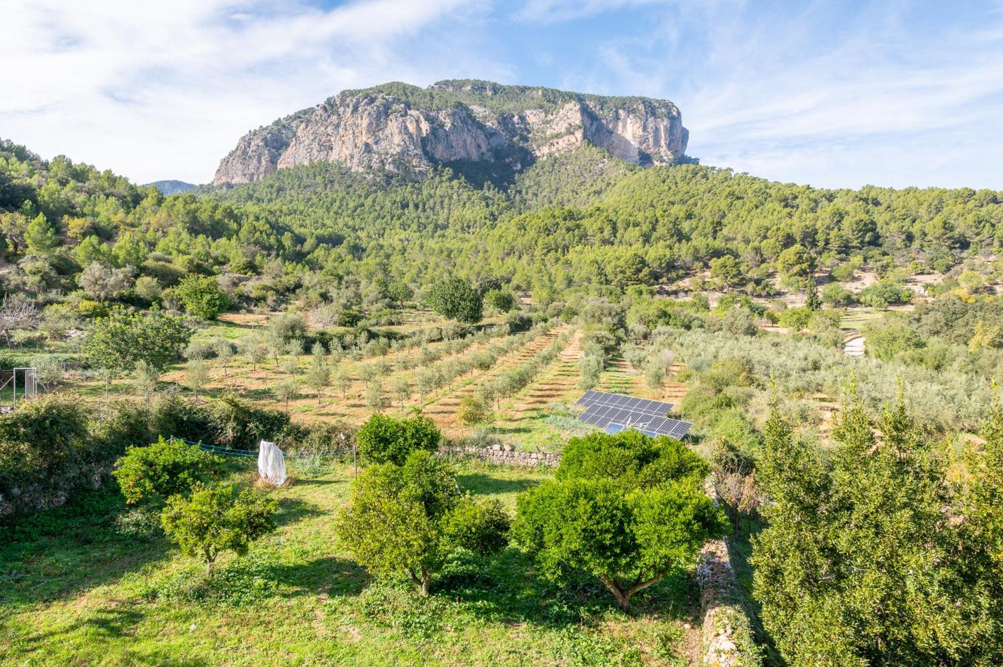 Agroturismo Filicumis Villa Lloseta Exterior photo